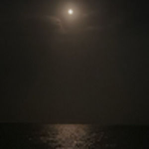 Meet your Posher, Peyton